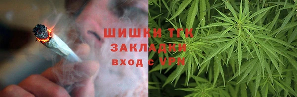 индика Богородицк