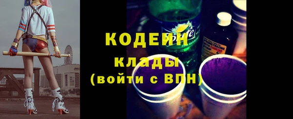 индика Богородицк