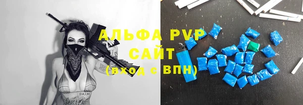 индика Богородицк