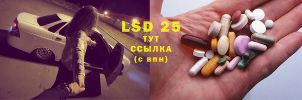 стаф Богородск