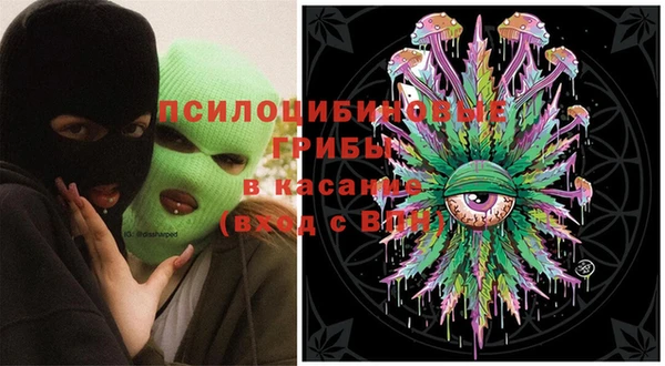 прущие грибы Бугульма