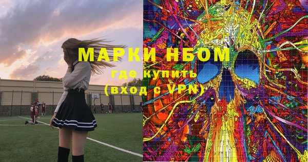 индика Богородицк