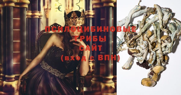 экстази Сатка