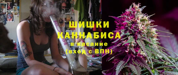 стаф Богородск
