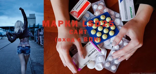 индика Богородицк