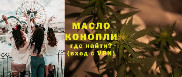 индика Богородицк