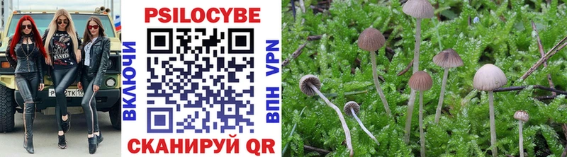 Псилоцибиновые грибы Magic Shrooms  MEGA как зайти  Иланский 